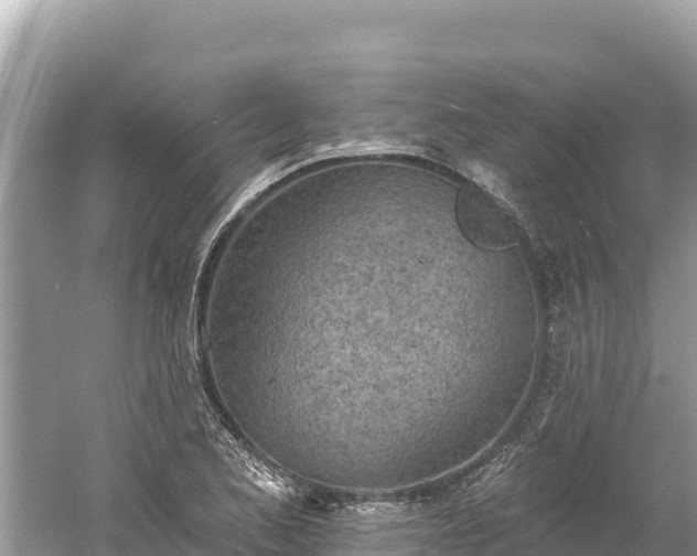 X0000061731173200512050925