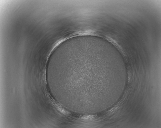 X0000061731174200512050925