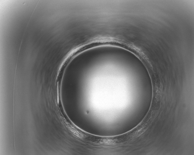 X0000061731175200512050925