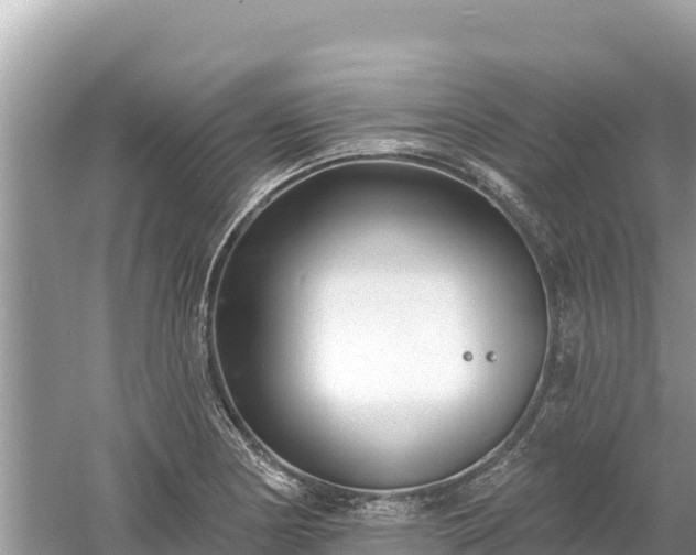 X0000061731178200512050925