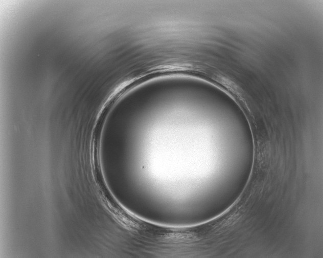 X0000061731179200512050925