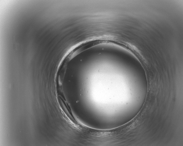 X0000061731184200512050925