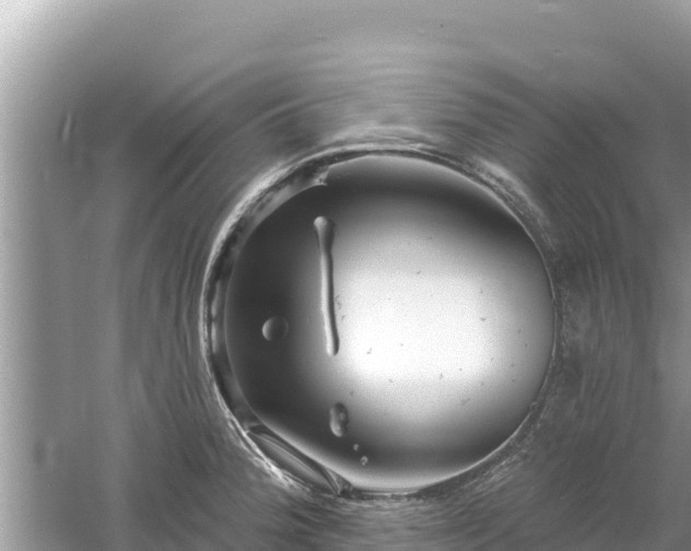 X0000061731188200512050925