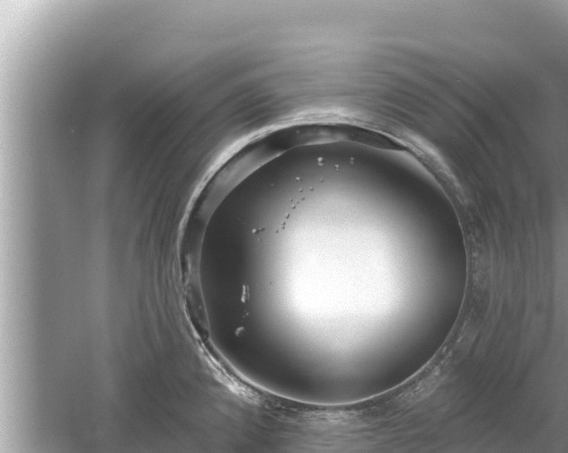 X0000061731192200512050925