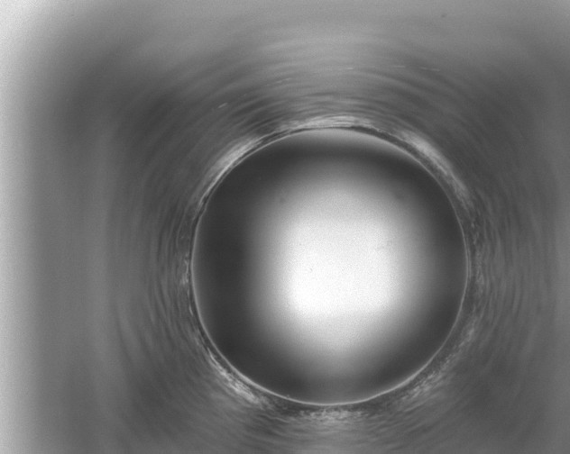 X0000061731193200512050925