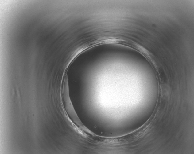 X0000061731194200512050925