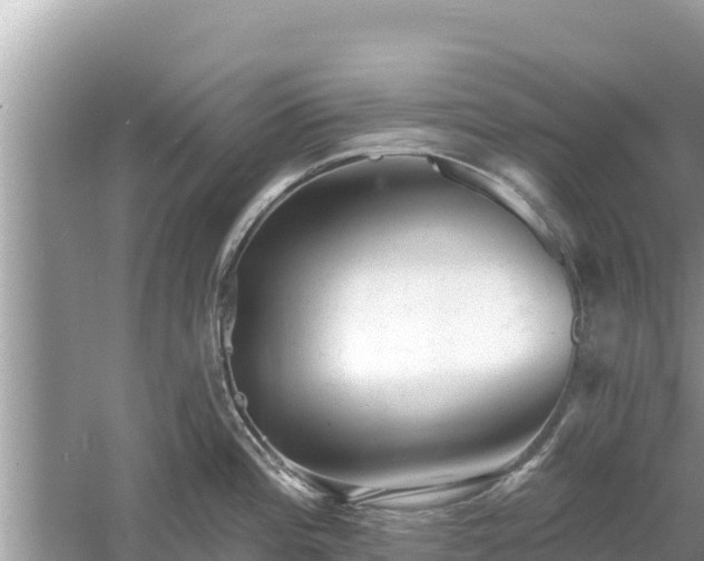 X0000061731196200512050925