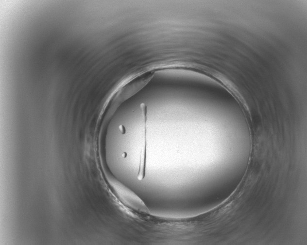 X0000061731197200512050925