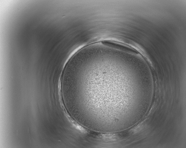 X0000061731198200512050925