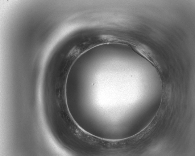 X0000061731199200512050925