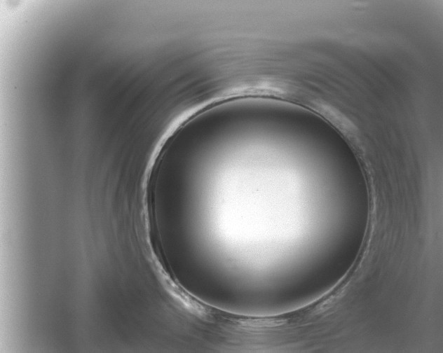 X0000061731200200512050925