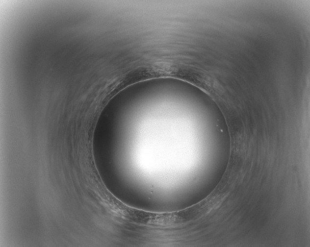 X0000061731201200512050924