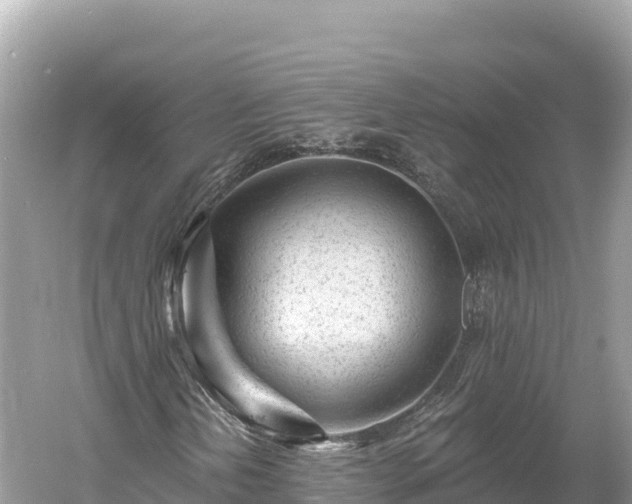 X0000061731202200512050924