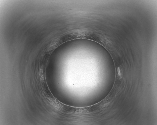 X0000061731203200512050924