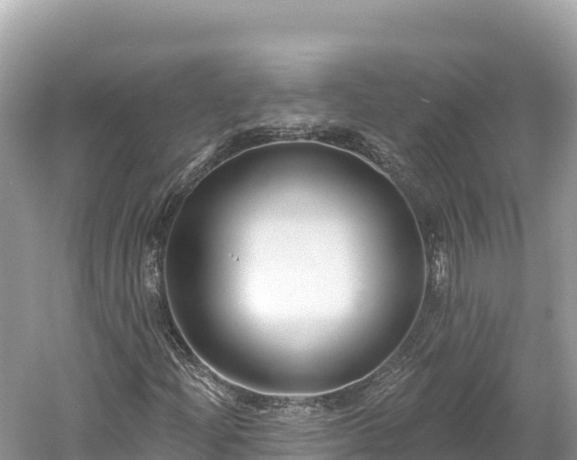 X0000061731204200512050924