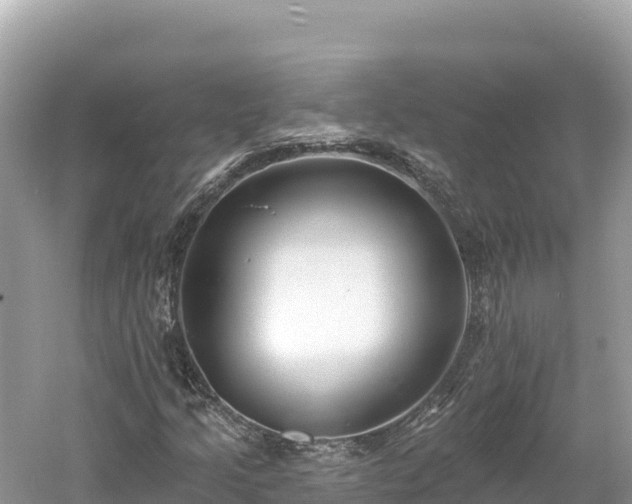 X0000061731205200512050924