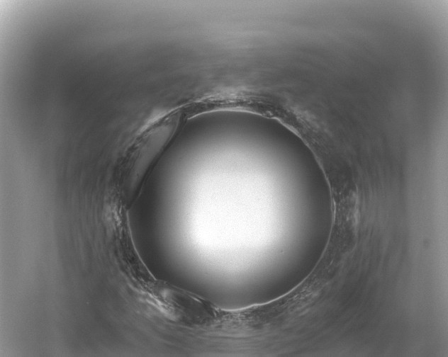 X0000061731206200512050924