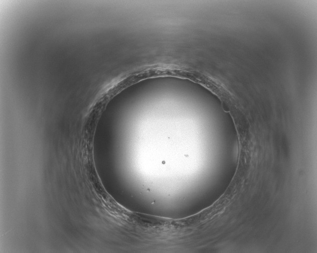 X0000061731207200512050924