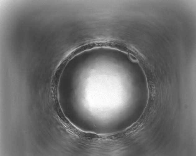 X0000061731208200512050924