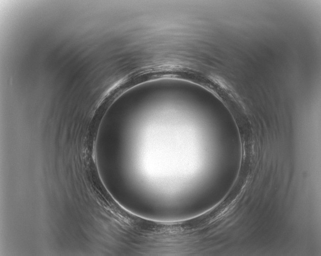 X0000061731210200512050924