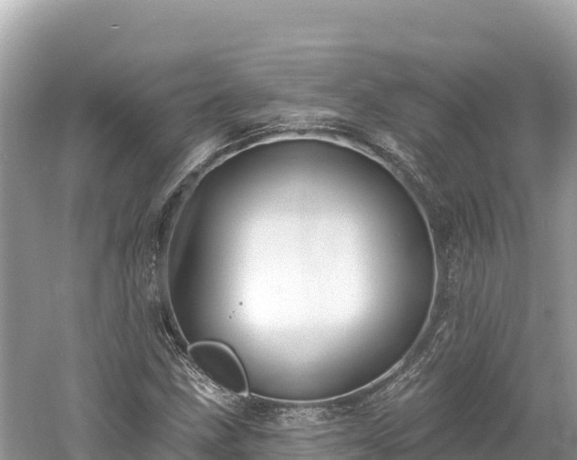 X0000061731211200512050924