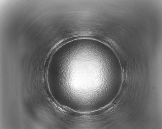 X0000061731212200512050924