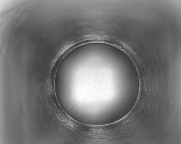 X0000061731215200512050924