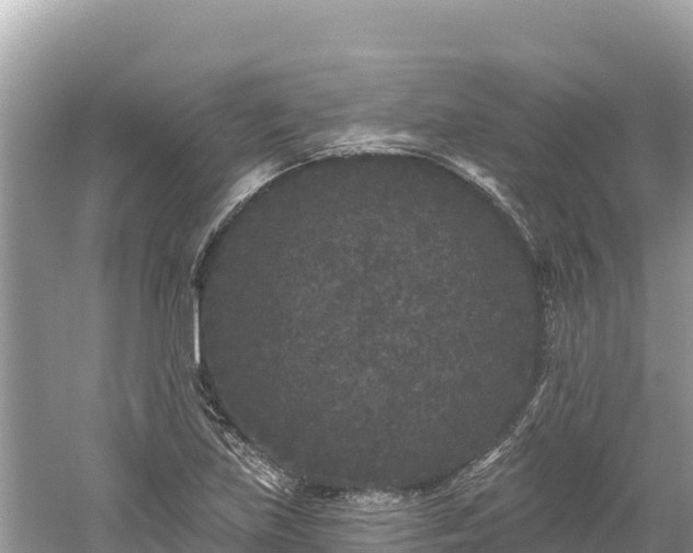 X0000061731219200512050924