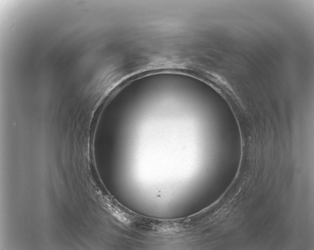 X0000061731220200512050924