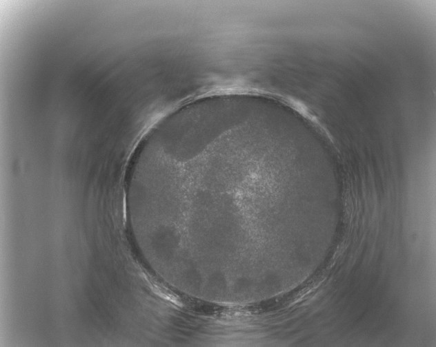 X0000061731221200512050924