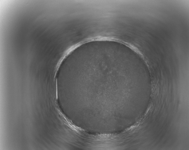 X0000061731223200512050925