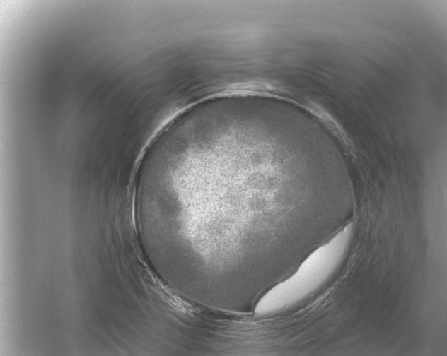 X0000061731224200512050925