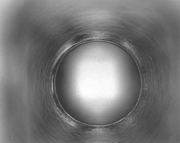 X0000061731227200512050925