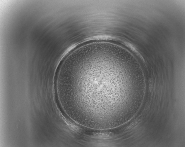 X0000061731229200512050925