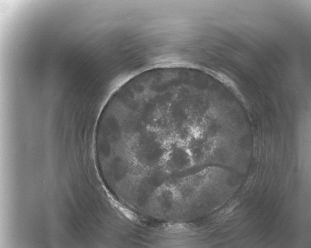 X0000061731231200512050925