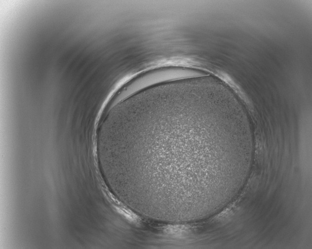 X0000061731232200512050925