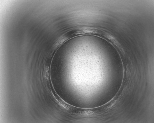 X0000061731233200512050925