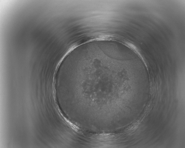 X0000061731235200512050925