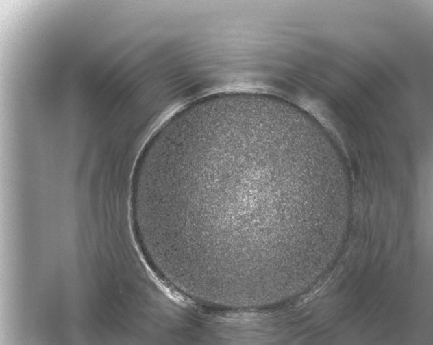 X0000061731237200512050925