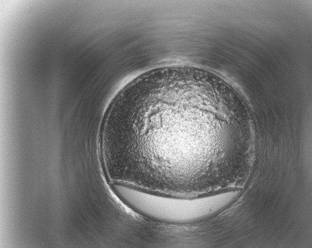 X0000061731239200512050925