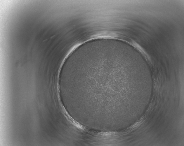 X0000061731240200512050925