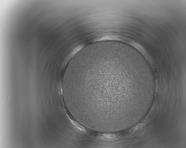 X0000061731241200512050925