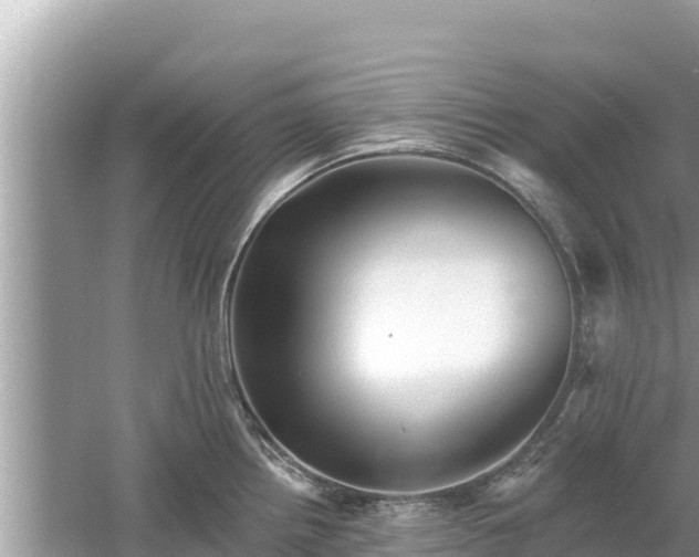 X0000061731242200512050925