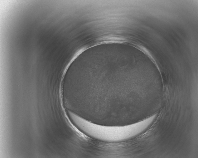 X0000061731243200512050925