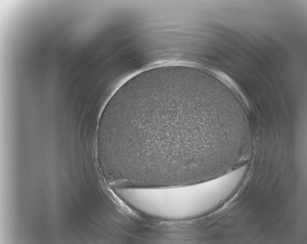 X0000061731244200512050925