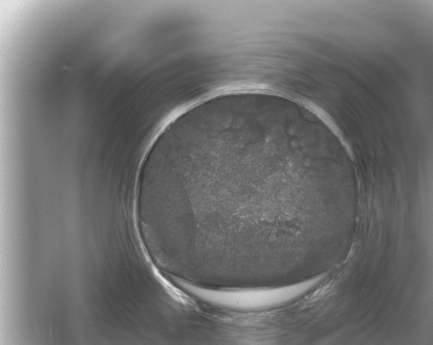 X0000061731245200512050925