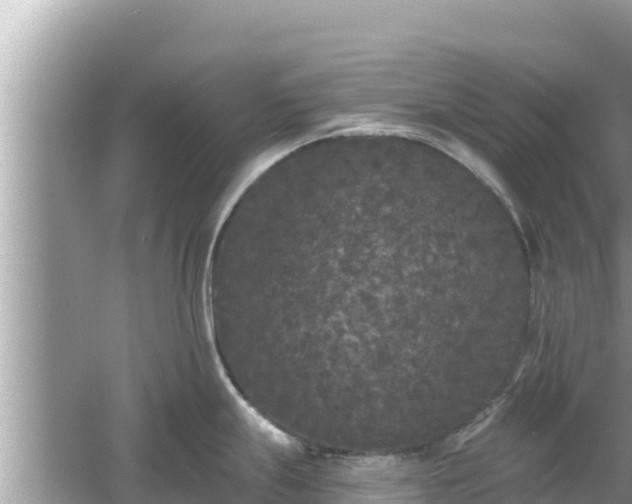 X0000061731247200512050925