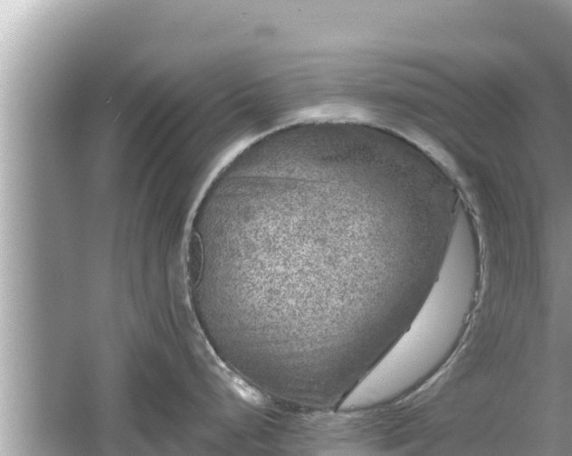 X0000061731248200512050925