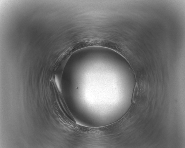 X0000061731250200512050924