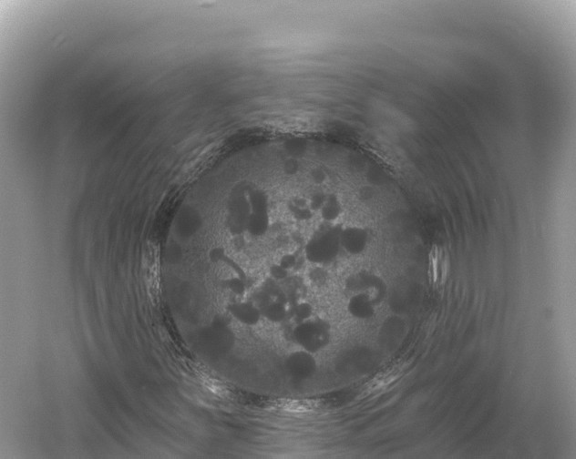 X0000061731251200512050924